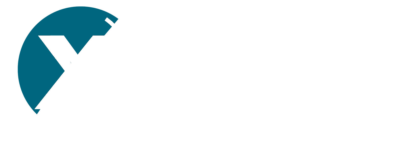 New Dexterity logo